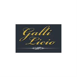 Gioielleria Galli Licio Snc