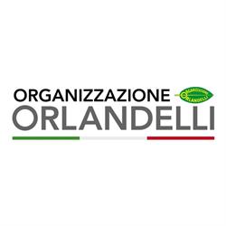 ORGANIZZAZIONE ORLANDELLI srl