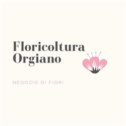 Orgiano Salvatore