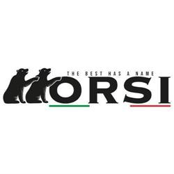 Orsi Group