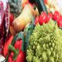 Frutta e Verdura