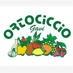 Ortociccio Gavi SRL