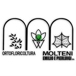 Ortofloricoltura Molteni Emilio e Pierluigi S.s.