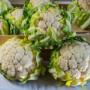 Ortofrutta Candela -