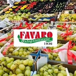 Ortofrutticola Favaro SRL
