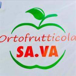 Ortofrutticola Sa.va