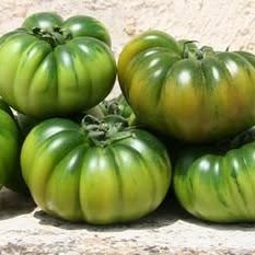 Volfrutta