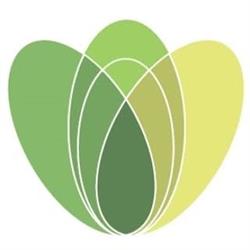 Ortopedia Novarese SRL Con Socio Unico