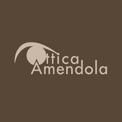Ottica Amendola - Dott. L. Amendola Optometrista