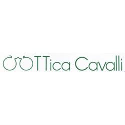 Ottica Cavalli di Carlo Cavalli