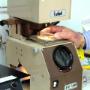 Laboratorio Interno con Consegna Occhiali in 24 Ore