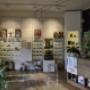 Esposizione Occhiali Ottica Cerri
