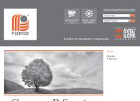 P Service (Srl)