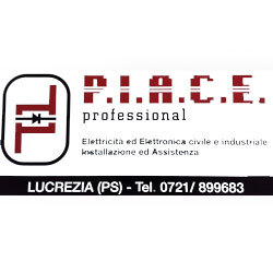 P.I.A.C.E. Professional