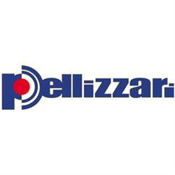 P.T.S. Pellizzari Tecnologie di Sicurezza