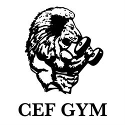 Palestra C.e.f.