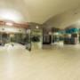 Gallery Professionale
