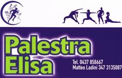 Palestra Elisa Sas Di Ladini Matteo & C.