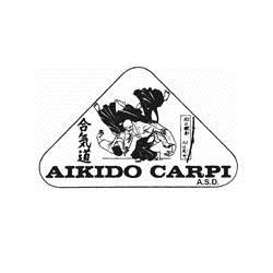 Palestra Aikido Carpi Asd