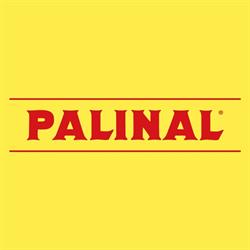 Palini Vernici (Srl)