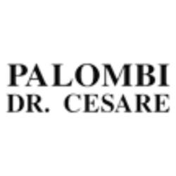 Palombi Dr. Cesare