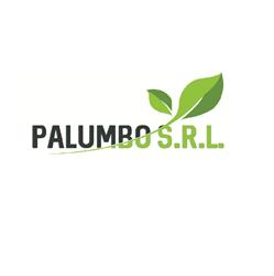 Palumbo Alfonso