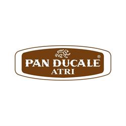 Panducale