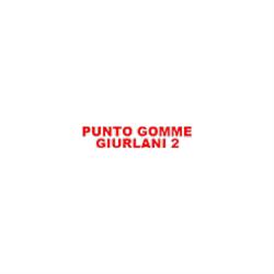 Punto Gomme Giurlani 2