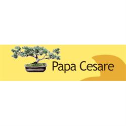 Papa Cesare Servizi di Giardinaggio