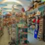Gallery Professionale