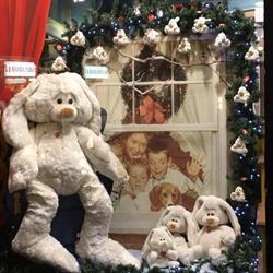 Il Paradiso dei Bambini dei F.lli Pinton Stefano & Valentina Sas
