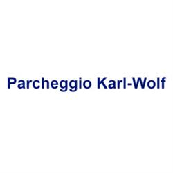 Parkautomatic Karl Wolf