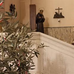 Parrocchia S. Francesco D'assisi