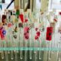 Nail Art Giacomo Creation Parrucchieri