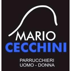 Mario Cecchini Group