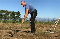 Azienda Agricola Cascina Roccabigliera Di Maurizio Paschetta