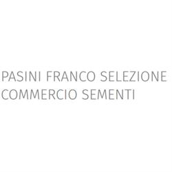 Pasini sementi