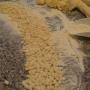 Prodotti Tipici Freschi