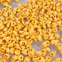 Pasta Fresca Nonna Cesira