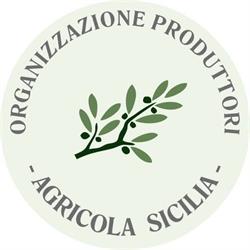 Patronato S.I.A.S. Bosco-Marsala