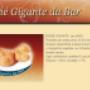 Gallery Cliente