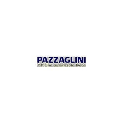 Pazzaglini Lino & C. srl