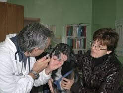 Ambulatorio Veterinario Peccioli Dr. Emanuele