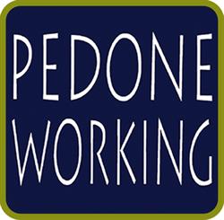 Pedone Working S.r.l