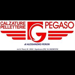 Pegaso