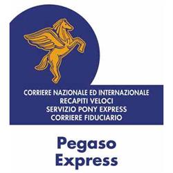 Pegaso Express