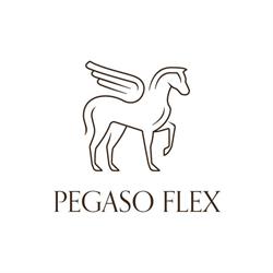 Pegaso Flex