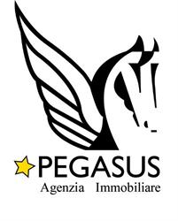 Pegasus
