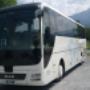 Autobus Pellegrino Noleggio