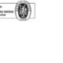 Certificato Pellegrino Noleggio